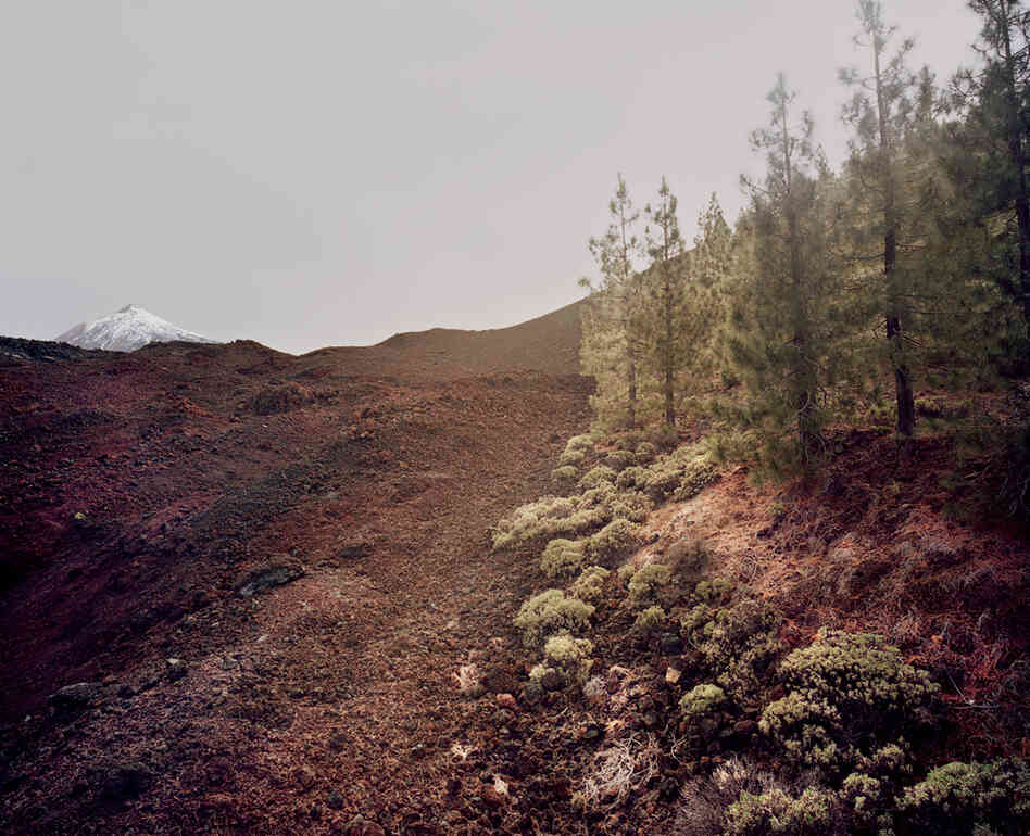 From the series In the Orbit of El Teide