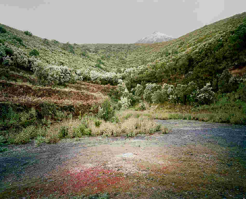 From the series In the Orbit of El Teide