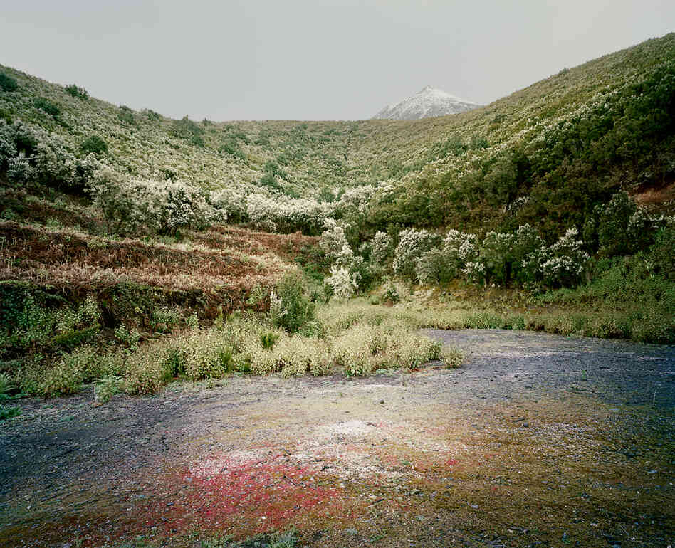 From the series In the Orbit of El Teide