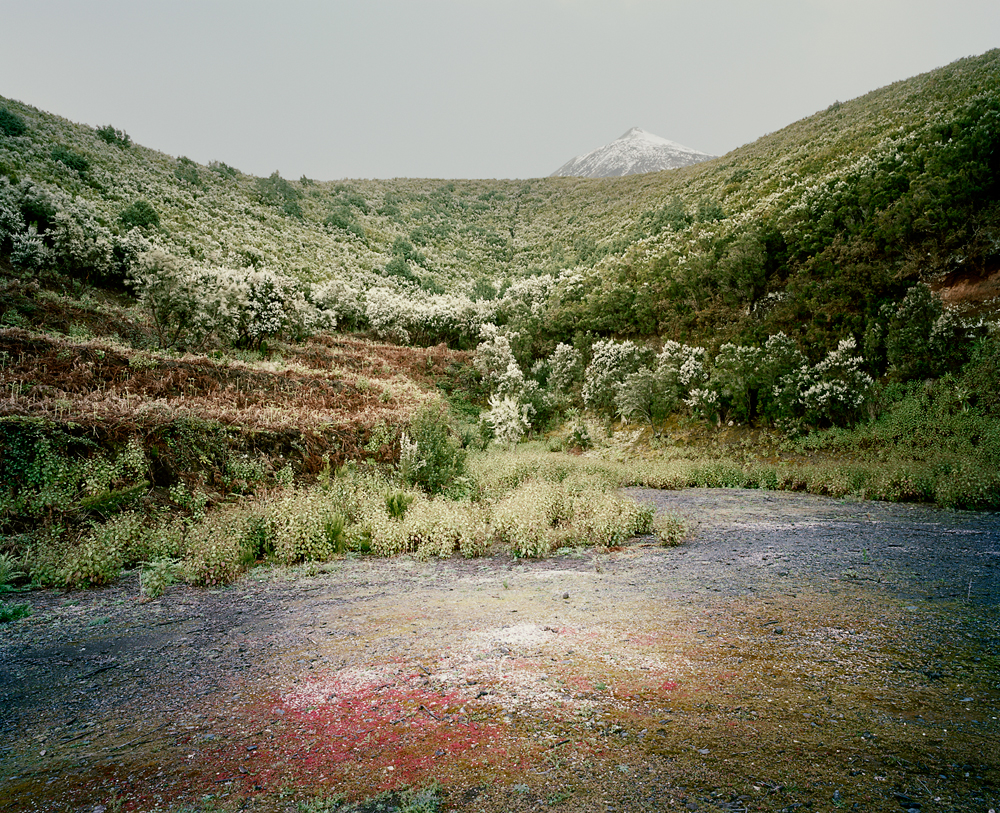 From the series <em>In the Orbit of El Teide</em>