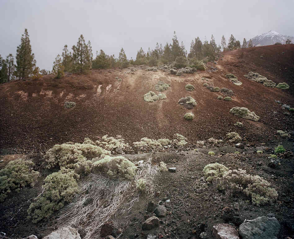 From the series In the Orbit of El Teide