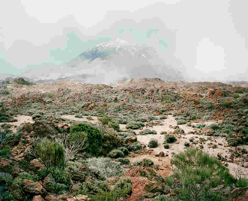 From the series In the Orbit of El Teide