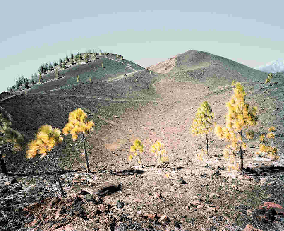 From the series In the Orbit of El Teide