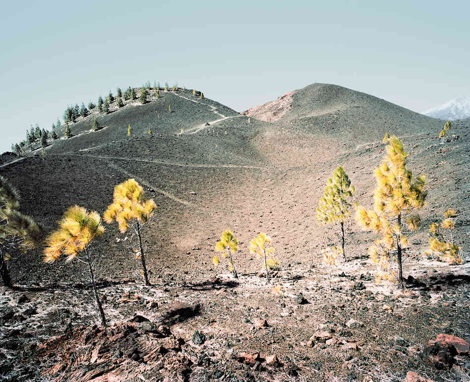 From the series In the Orbit of El Teide