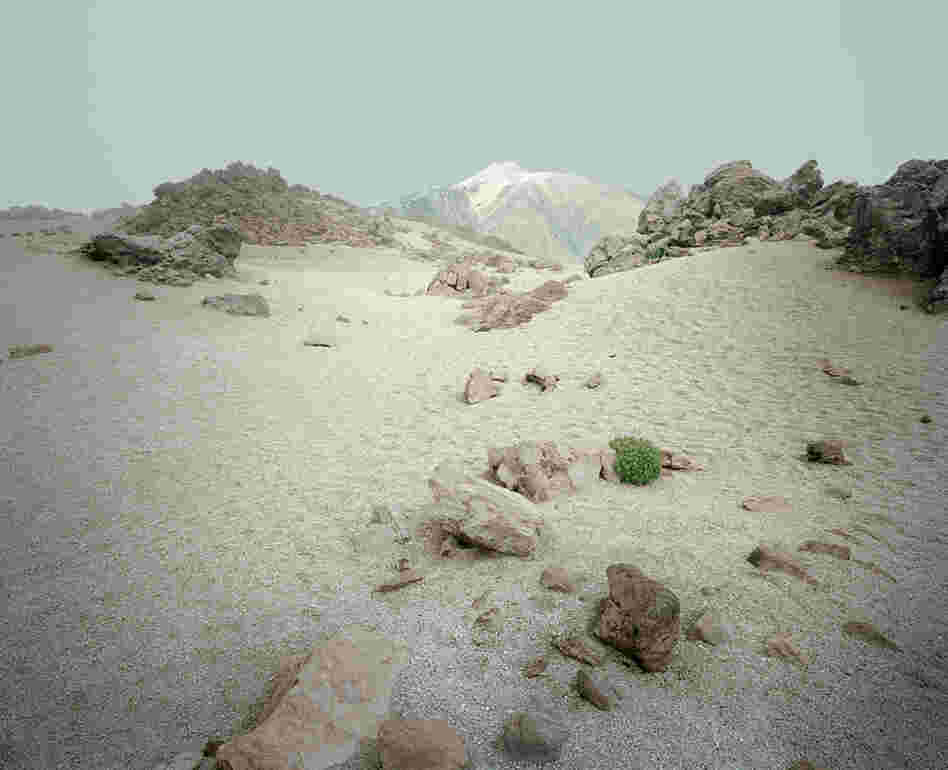 From the series In the Orbit of El Teide
