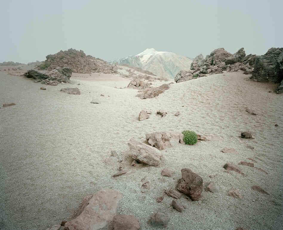 From the series In the Orbit of El Teide
