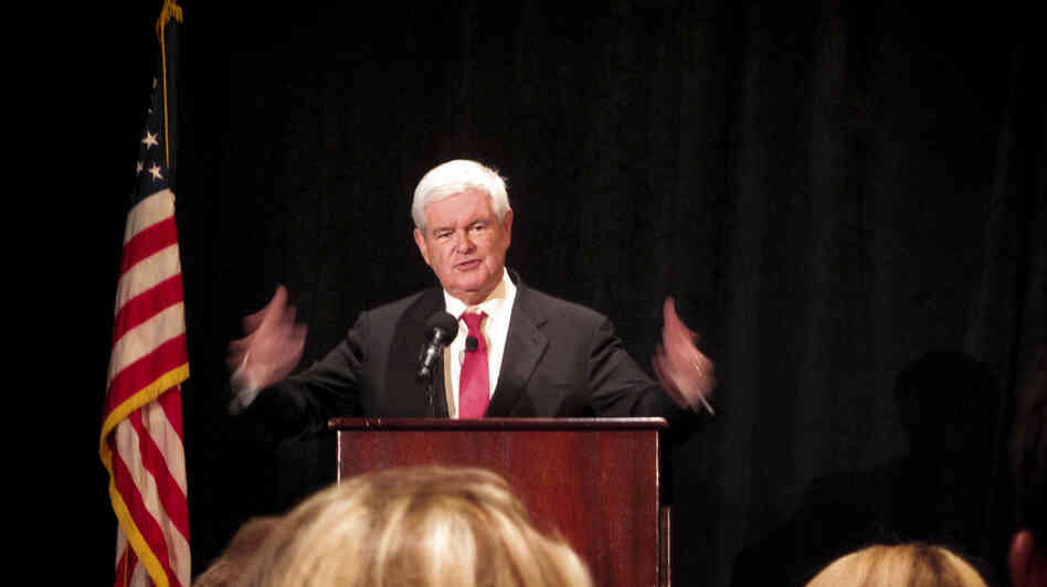 Former House Speaker Newt Gingrich, a one-time history professor, educates delegates gathering in Tampa, Fla., on how to get the party message out. The event was billed as "Newt U."