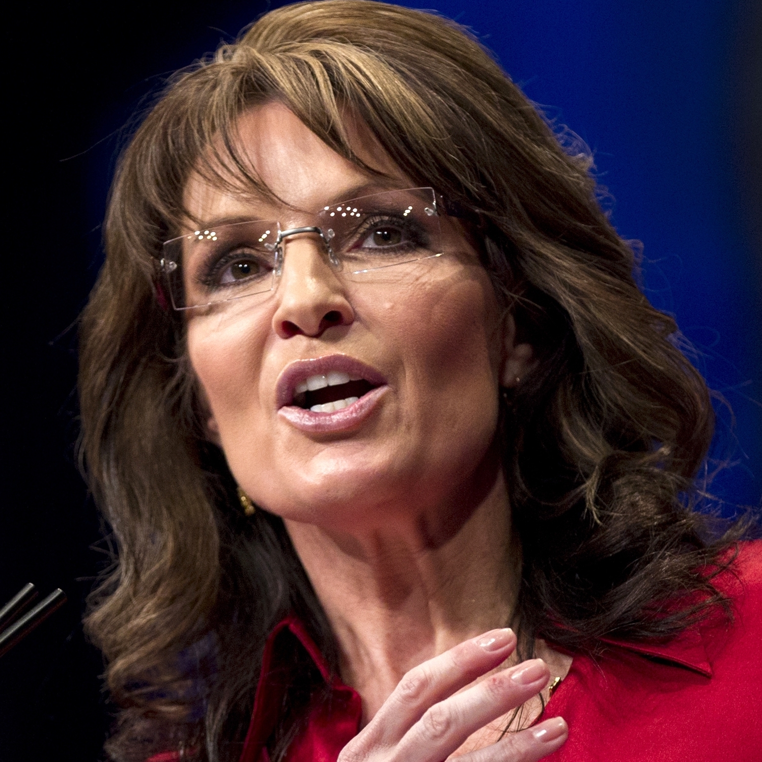 Sarah Palin's acceptance speech for vice president was the highlight of the 2008 Republican convention.
