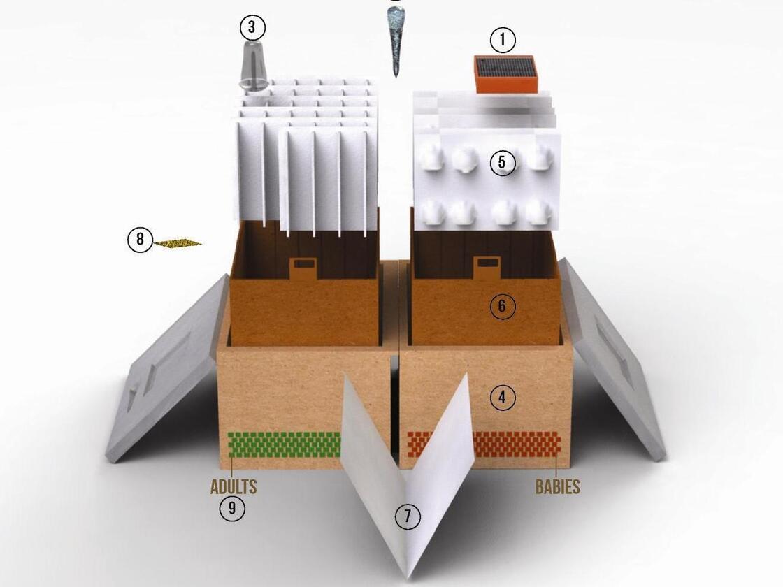 Locust Farm, a prototype for an emergency food kit, would allow refugees to grow their own locust--a nutrient-rich source of protein.