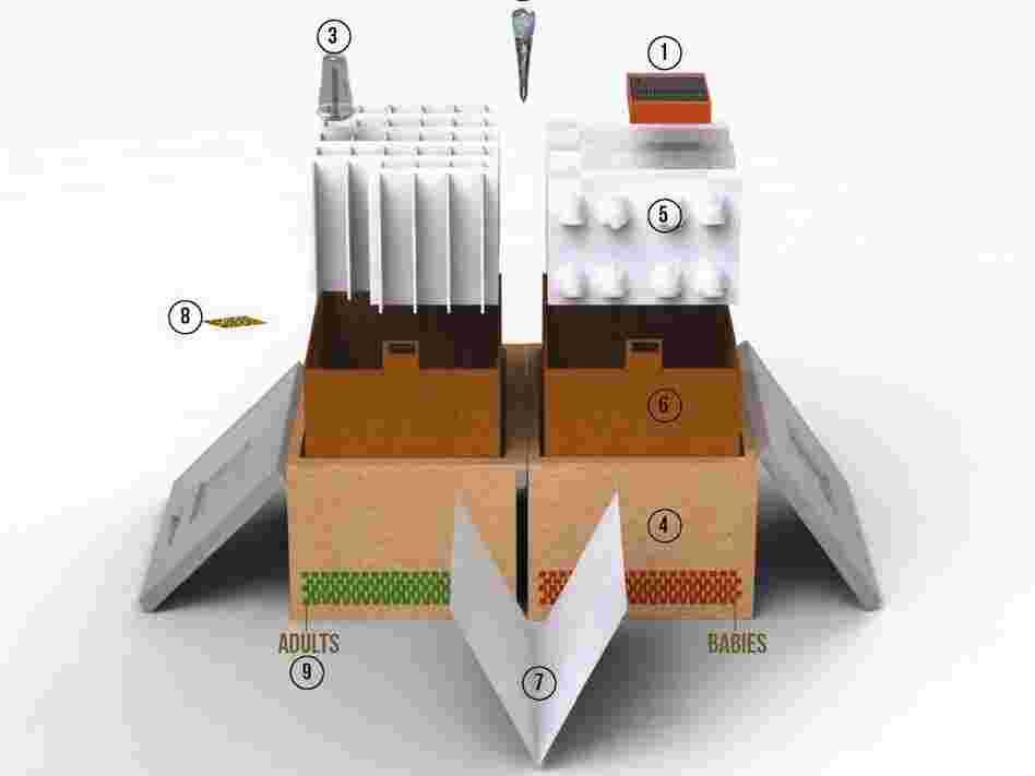 Locust Farm, a prototype for an emergency food kit, would allow refugees to grow their own locust--a nutrient-rich source of protein.