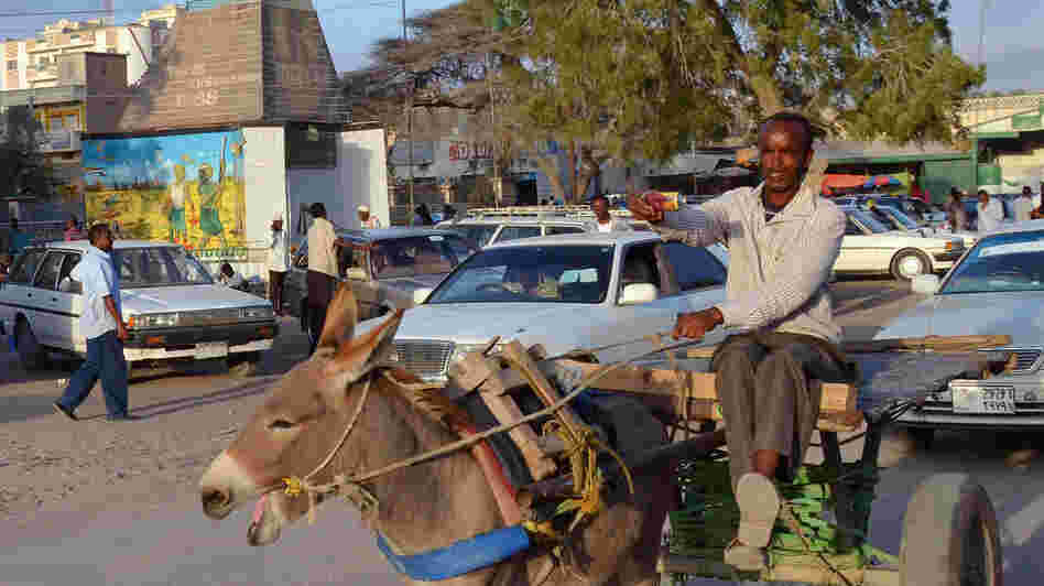 A man steers a cart pulled by a donkey in Hargeisa, capital of the unrecognized breakaway republic of Somaliland in northwestern Somalia. Investors are beginning to move into the untapped market in Somaliland, a stable island in a turbulent region. A man steers a cart pulled by a donkey in Hargeisa, capital of the unrecognized breakaway republic of Somaliland in northwestern Somalia. Investors are beginning to move into the untapped market in Somaliland, a stable island in a turbulent region.