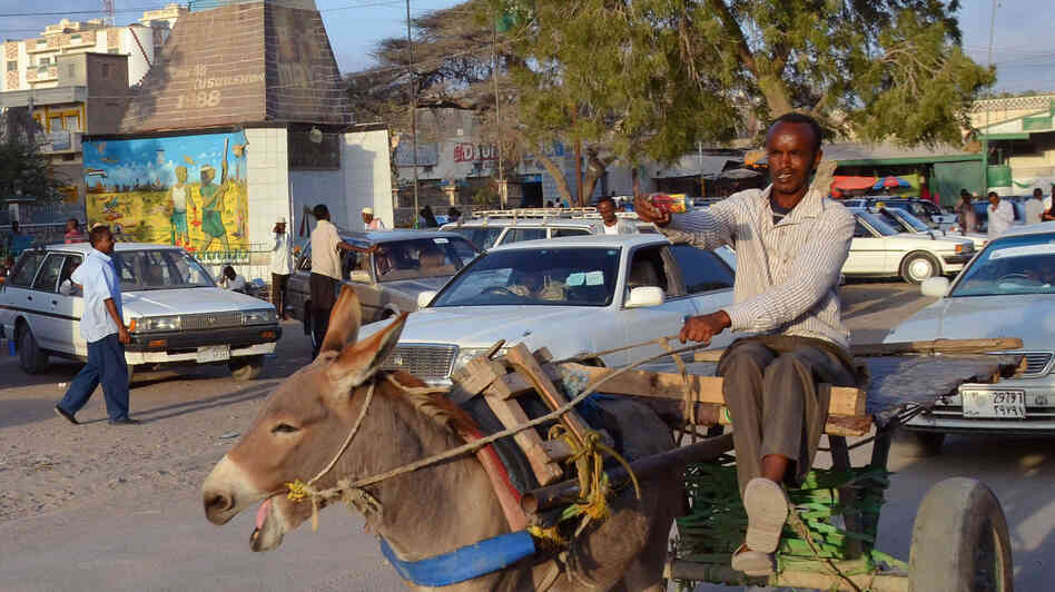 A man steers a cart pulled by a donkey in Hargeisa, capital of the unrecognized breakaway republic of Somaliland in northwestern Somalia. Investors are beginning to move into the untapped market in Somaliland, a stable island in a turbulent region. A man steers a cart pulled by a donkey in Hargeisa, capital of the unrecognized breakaway republic of Somaliland in northwestern Somalia. Investors are beginning to move into the untapped market in Somaliland, a stable island in a turbulent region.