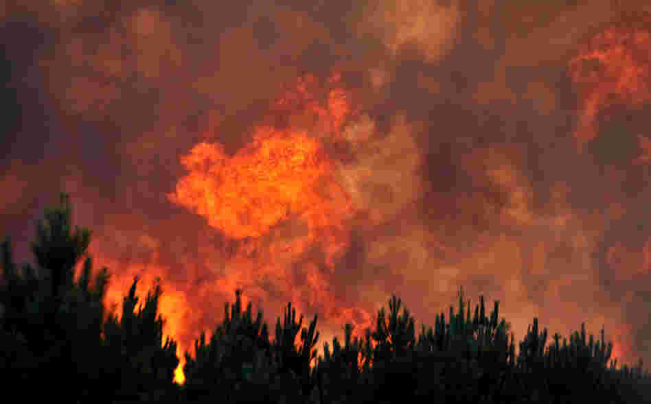 An August 2012 forest fire near the French resort of Lacanau on the country's Atlantic coast. An August 2012 forest fire near the French resort of Lacanau on the country's Atlantic coast.