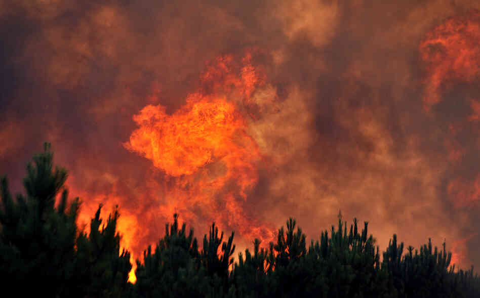 An August 2012 forest fire near the French resort of Lacanau on the country's Atlantic coast. An August 2012 forest fire near the French resort of Lacanau on the country's Atlantic coast.
