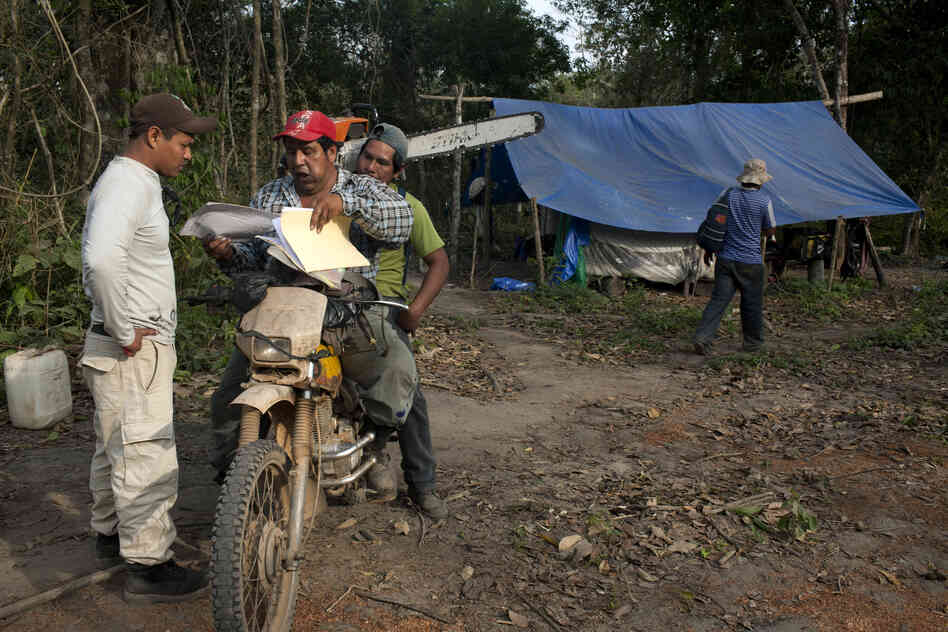Loggers discuss the day's plan in a camp called Puesto Viejo, or "old post."