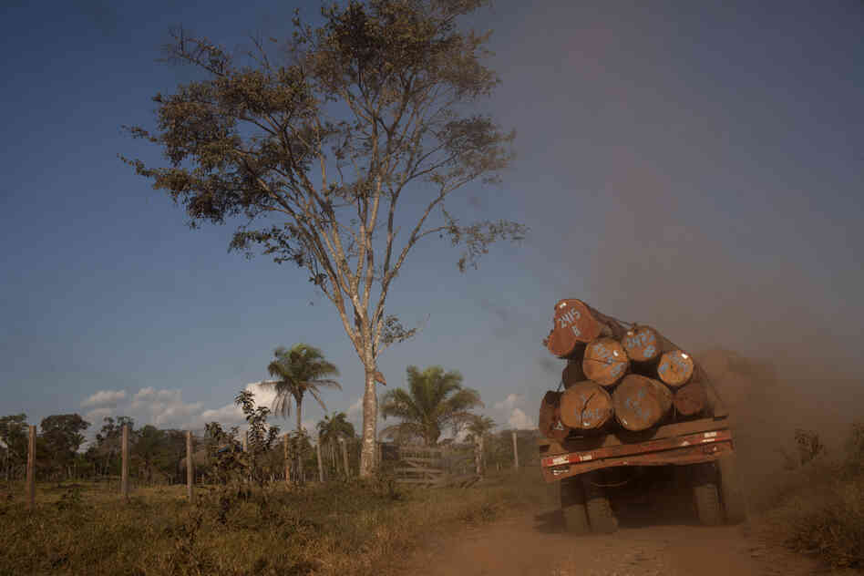 A truck takes logs to the town of Ascencion de Guarayos in the Bolivian Amazon jungle.
