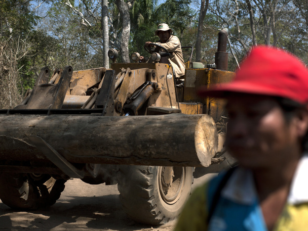 Logs in the Bolivian forest are moved, measured, trimmed and tagged for inspection by ABT — the Bolivian agency of forests and land — before being transported by truck to the town of Ascencion de Guarayos.