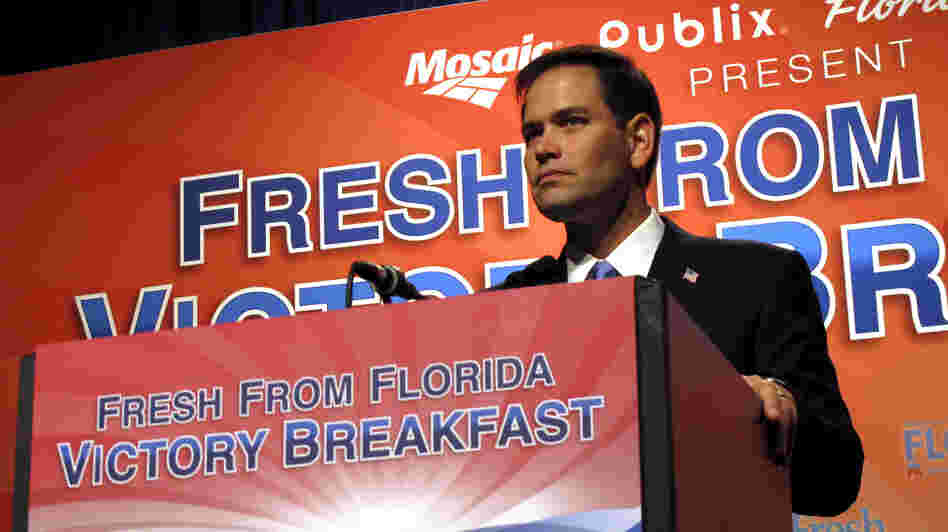 Florida Sen. Marco Rubio speaks Tuesday in Tampa.