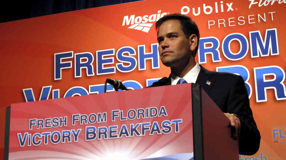 Florida Sen. Marco Rubio speaks Tuesday in Tampa.