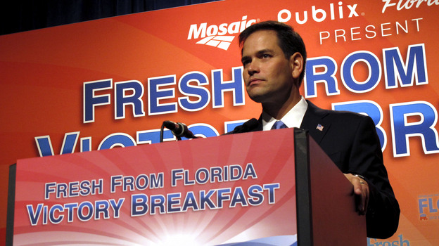 Florida Sen. Marco Rubio speaks Tuesday in Tampa. (StateImpact Florida)