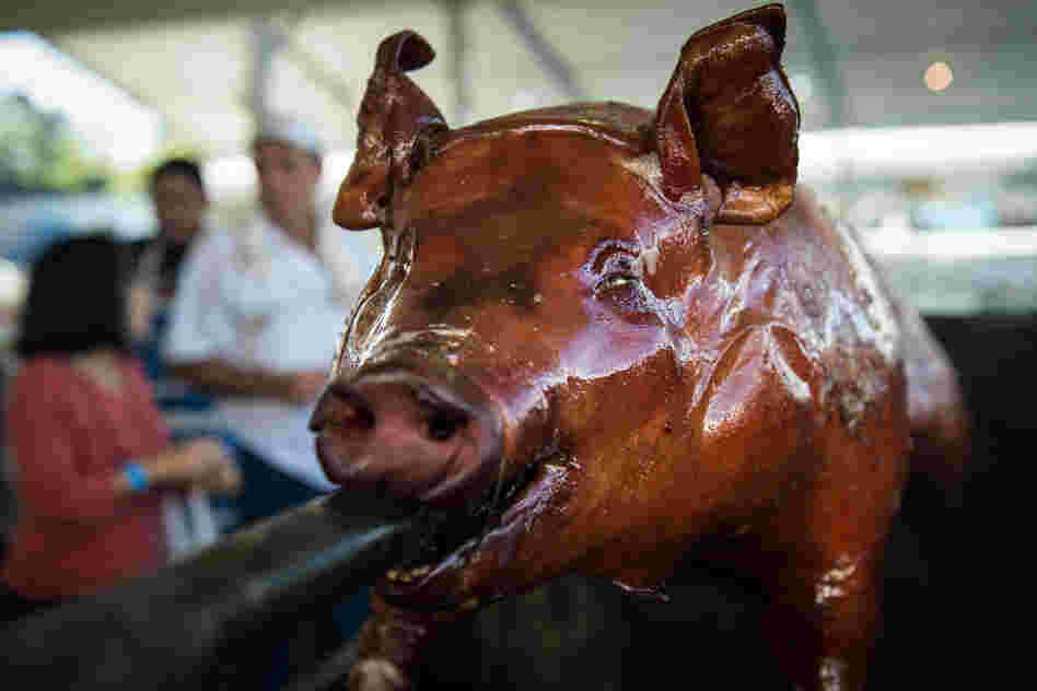 Torture or tasty tradition? Many consider the consumption of meat to be a question of ethics. Here, a pig is roasted during the annual Festa Junina in Guarulhos, a suburb of Sao Paulo, Brazil.