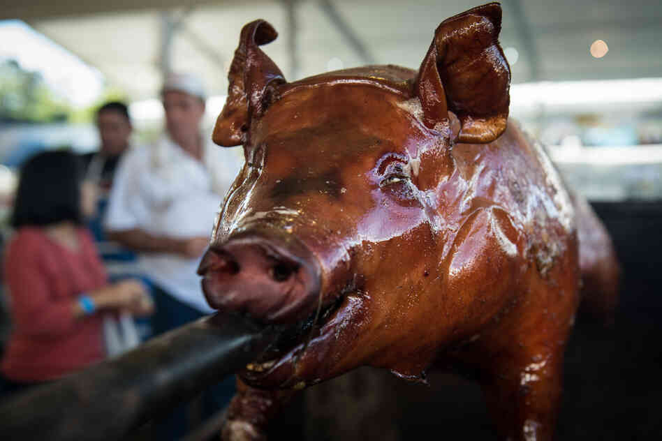 Torture or tasty tradition? Many consider the consumption of meat to be a question of ethics. Here, a pig is roasted during the annual Festa Junina in Guarulhos, a suburb of Sao Paulo, Brazil.