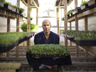 Brendan Davison grows 11 kinds of microgreens, including arugula and basil, at his Good Water Farms in East Hampton, N.Y. Brendan Davison grows 11 kinds of microgreens, including arugula and basil, at his Good Water Farms in East Hampton, N.Y.