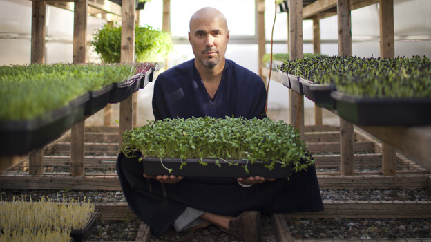 Brendan Davison grows 11 kinds of microgreens, including arugula and basil, at his Good Water Farms in East Hampton, N.Y.
