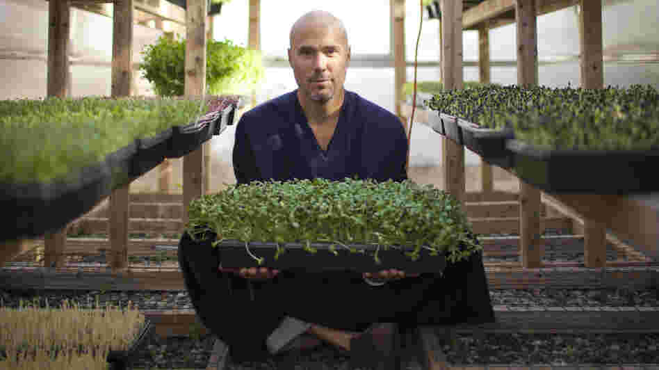 Brendan Davison grows 11 kinds of microgreens, including arugula and basil, at his Good Water Farms in East Hampton, N.Y.