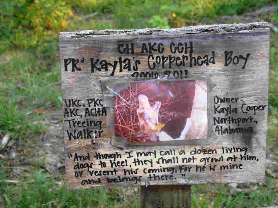 The grave markers range from homemade signs ...