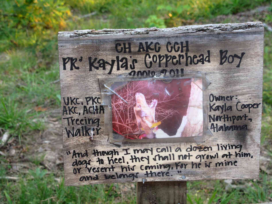 The grave markers range from homemade signs ...