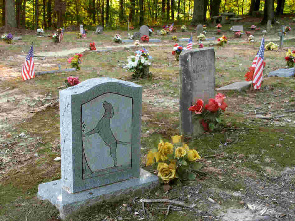 Dogs buried here have to be proven hunters.