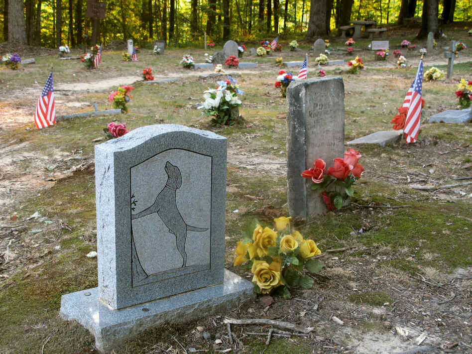 Dogs buried here have to be proven hunters.