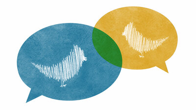 Two overlapping speech bubles with birds interacting.