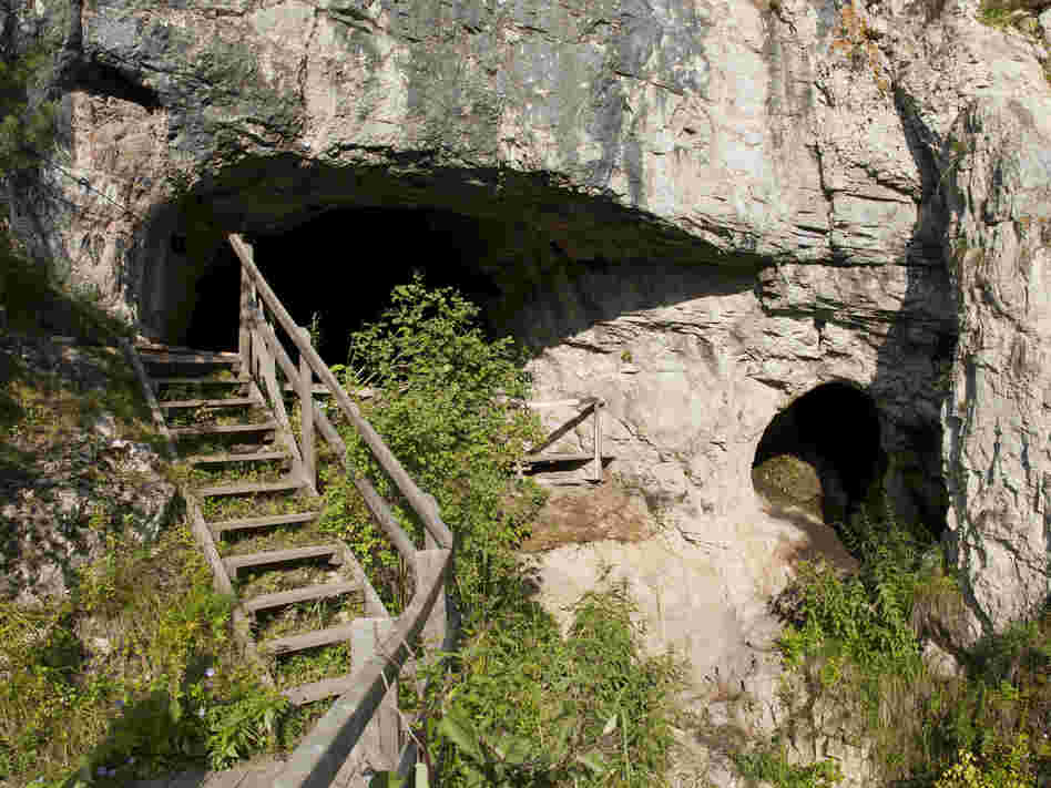 The entrance to the Denisova cave in southern Siberia.