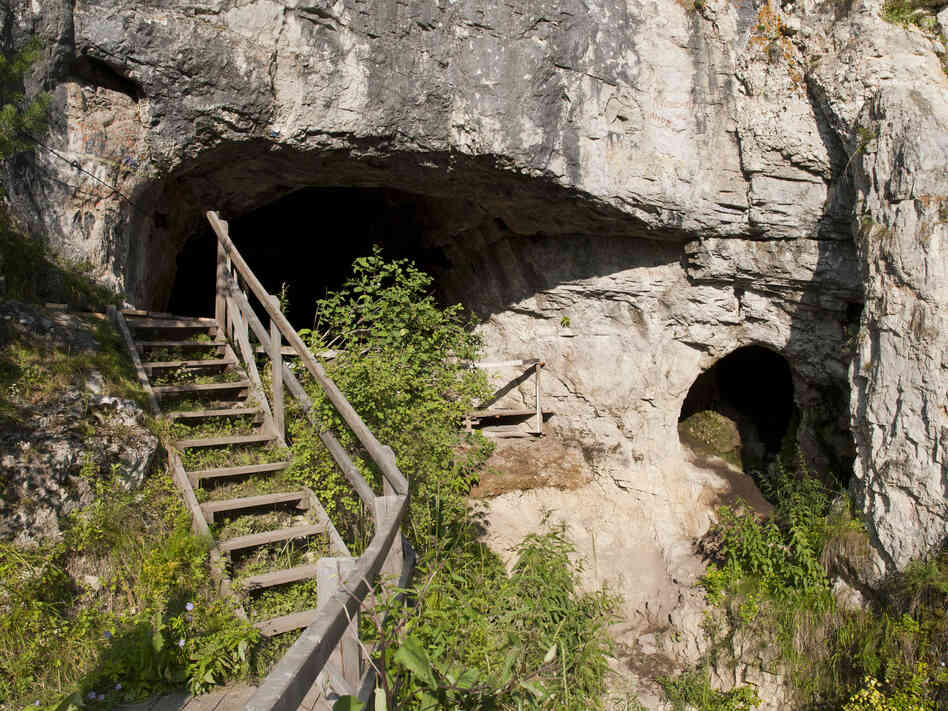 The entrance to the Denisova cave in southern Siberia.
