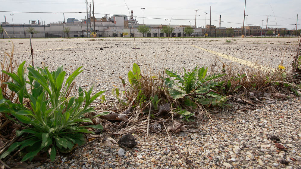 Weeds were already growing in the parking lot outside the GM assembly plant in Janesville, Wis., on May 4, 2009.