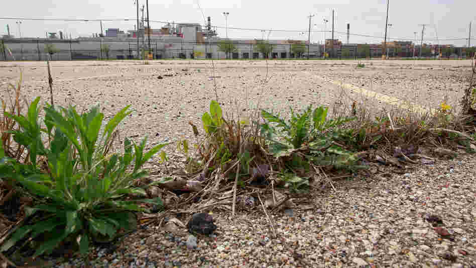 Weeds were already growing in the parking lot outside the GM assembly plant in Janesville, Wis., on May 4, 2009.