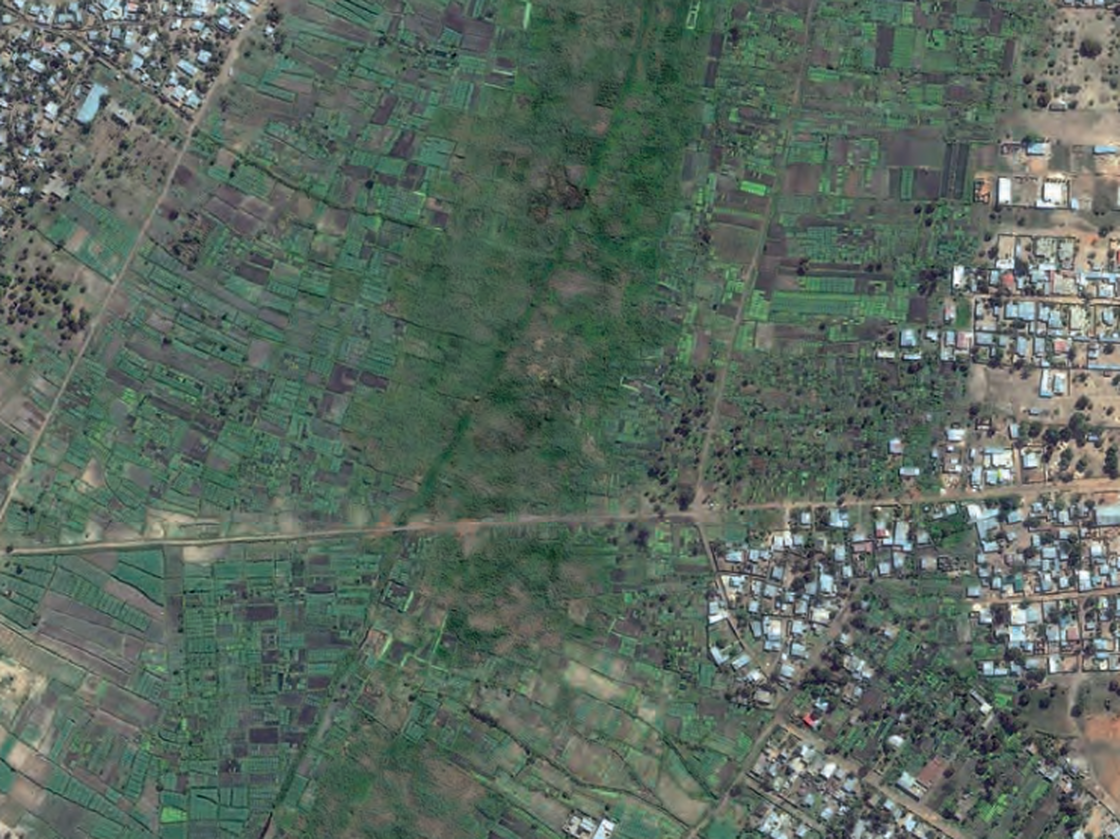 Land set aside for market gardens creates green belts in Mozambique's capital of Maputo.