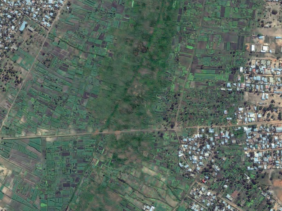 Land set aside for market gardens creates green belts in Mozambique's capital of Maputo.