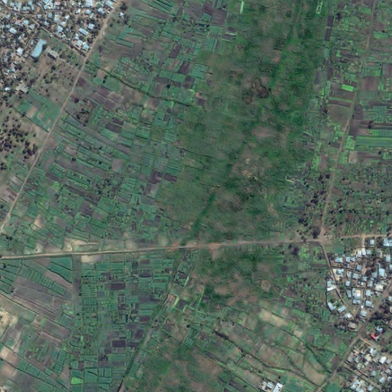 Land set aside for market gardens creates green belts in Mozambique's capital of Maputo.