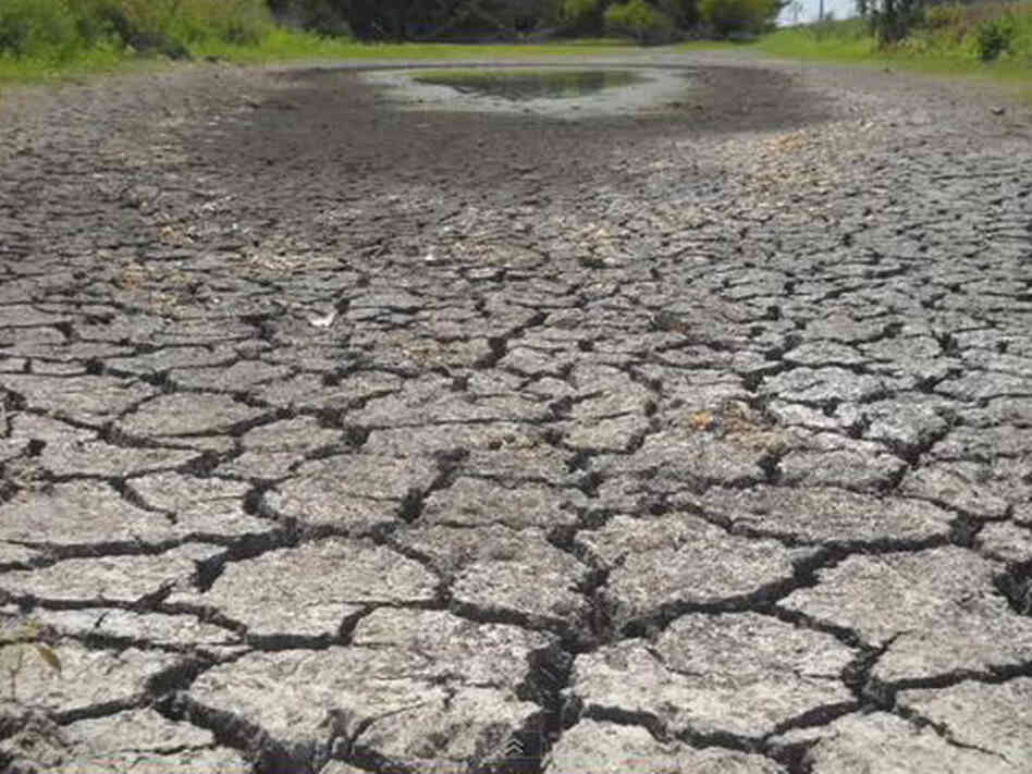 A YouTube user who goes by Katzcradul posted this image of a parched gulch on her drought-stricken land in Missouri on the site. A YouTube user who goes by Katzcradul posted this image of a parched gulch on her drought-stricken land in Missouri on the site.