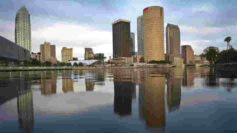 Never mind the palmetto bugs. There's a lot to like about Tampa, Fla.