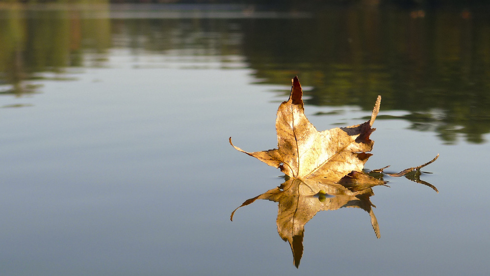 When does fall begin?