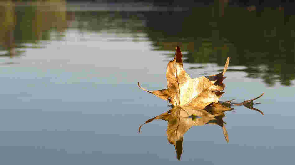 When does fall begin?