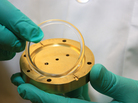 A small, plastic vaginal ring loaded up with an HIV drug protects monkeys from infection with simian immunodeficiency virus. A small, plastic vaginal ring loaded up with an HIV drug protects monkeys from infection with simian immunodeficiency virus.
