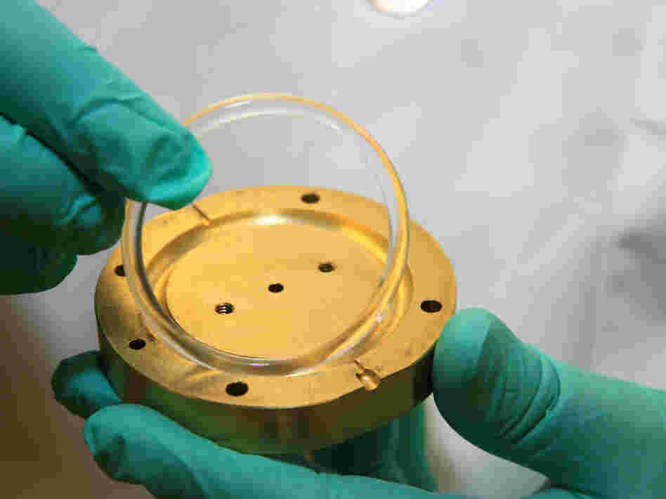 A small, plastic vaginal ring loaded up with an HIV drug protects monkeys from infection with simian immunodeficiency virus. A small, plastic vaginal ring loaded up with an HIV drug protects monkeys from infection with simian immunodeficiency virus.