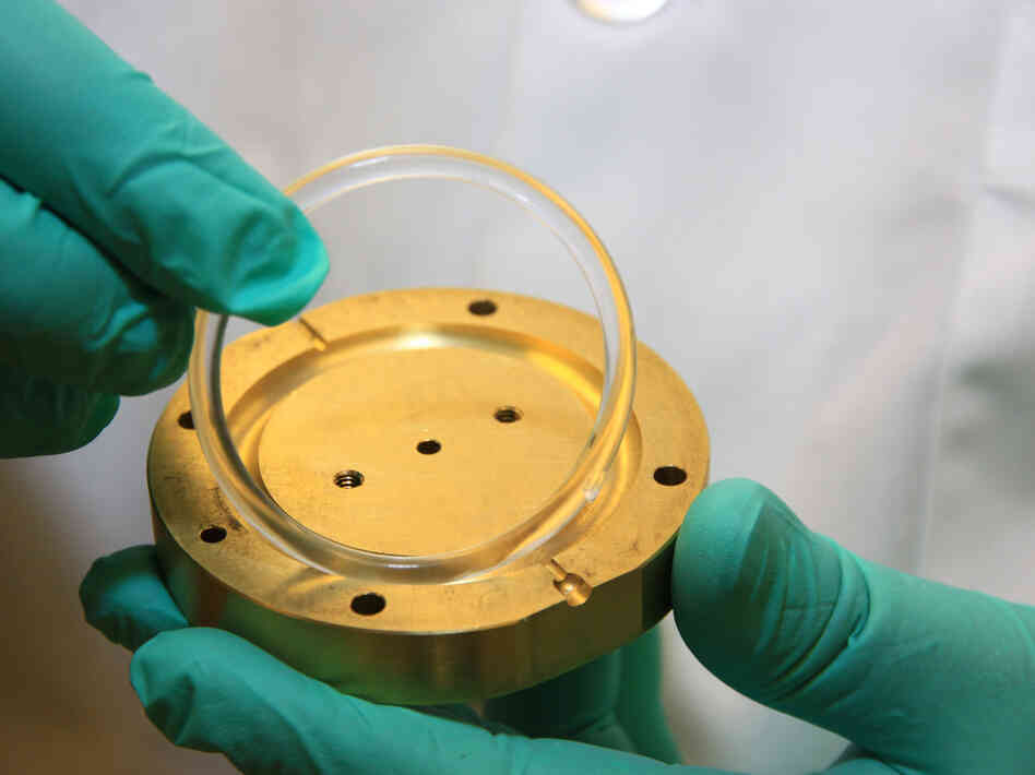A small, plastic vaginal ring loaded up with an HIV drug protects monkeys from infection with simian immunodeficiency virus. A small, plastic vaginal ring loaded up with an HIV drug protects monkeys from infection with simian immunodeficiency virus.