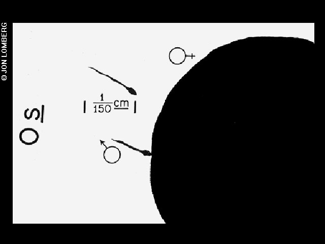 Diagram of conception