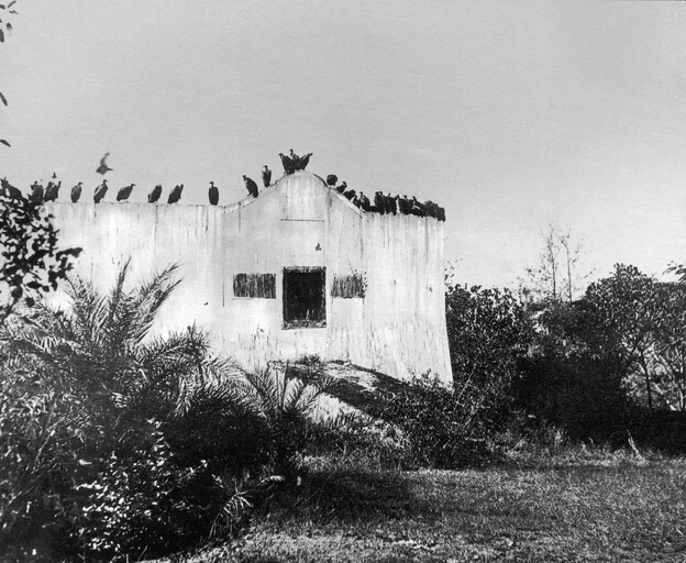This image shows a Parsi Tower of Silence, circa 1955, near Mumbai, India. The bodies of the dead are left here to be disposed of by vultures.